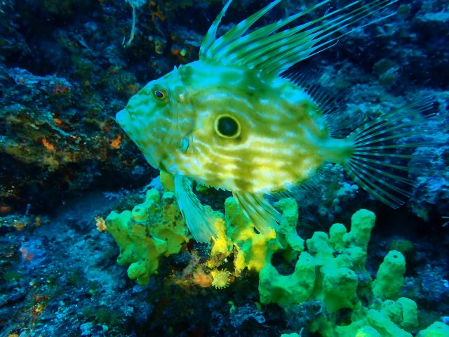 foto 21.06.19 18 56 26